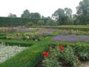 Royal flower garden